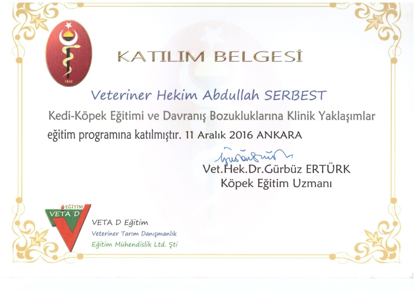 Davranış Bozukluğu