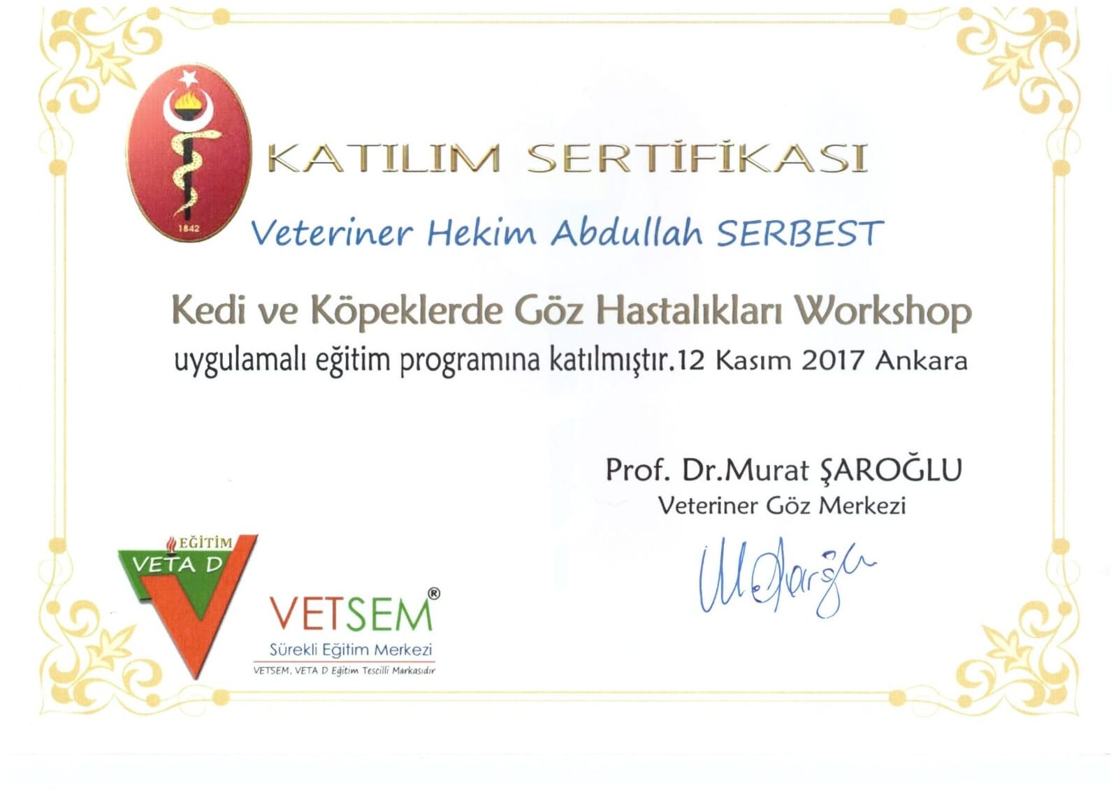 Göz Hastalıkları