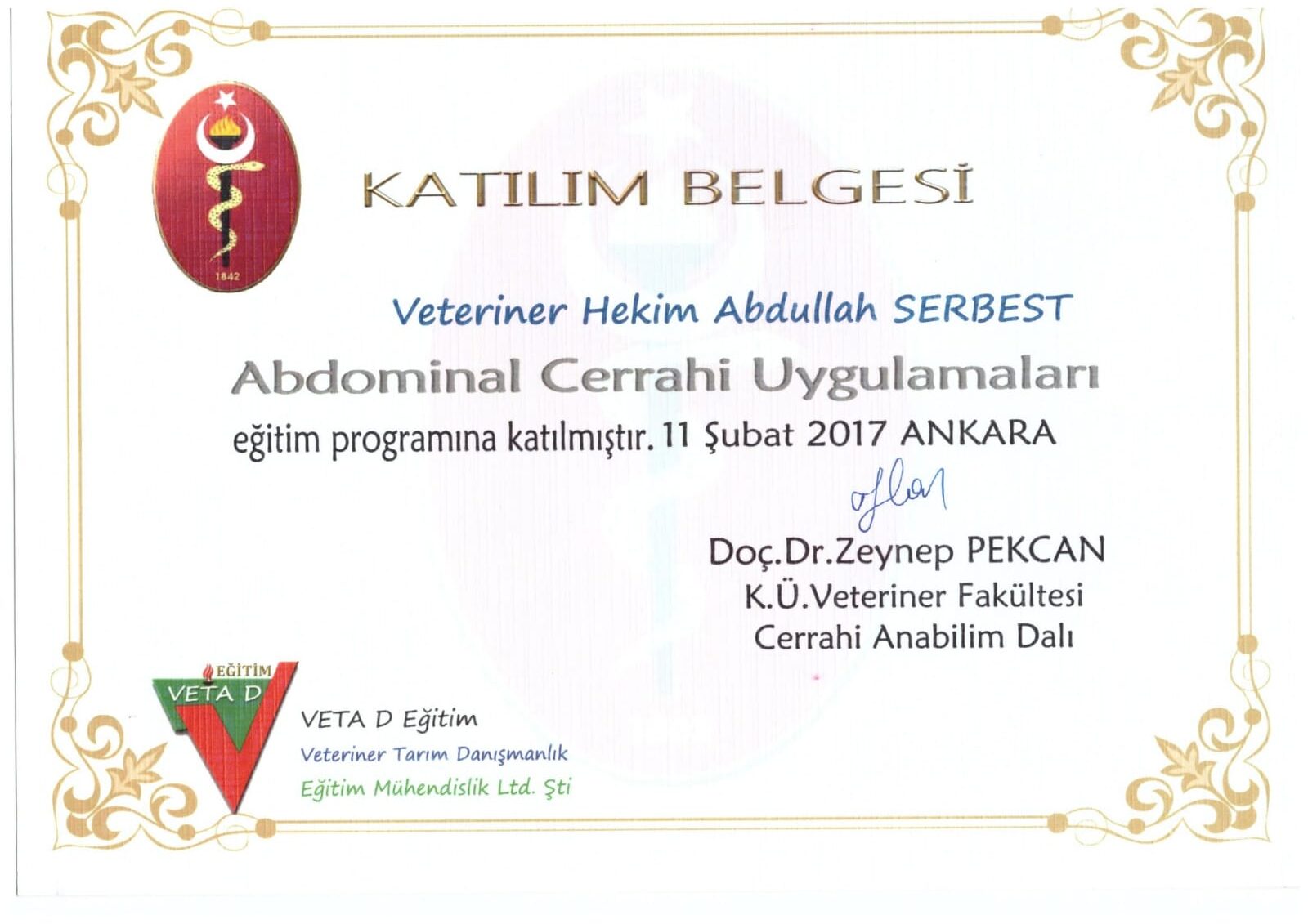 Abdominal Cerrahi 2