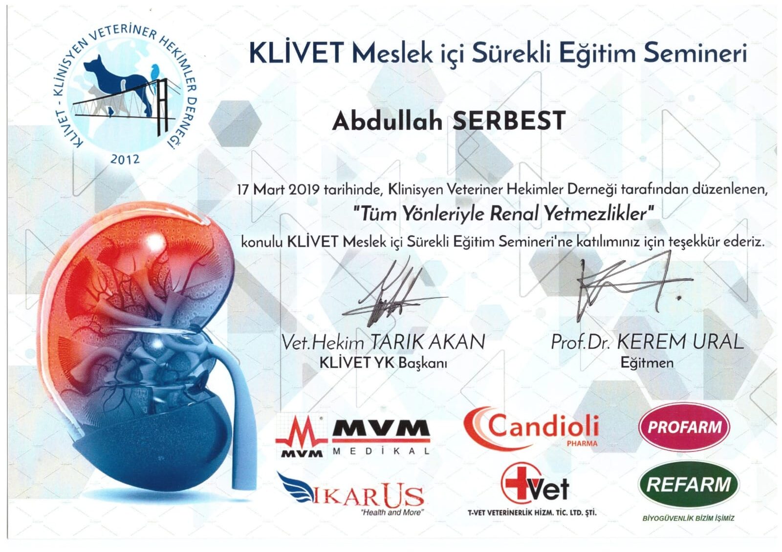 Renal Yetmezlikler