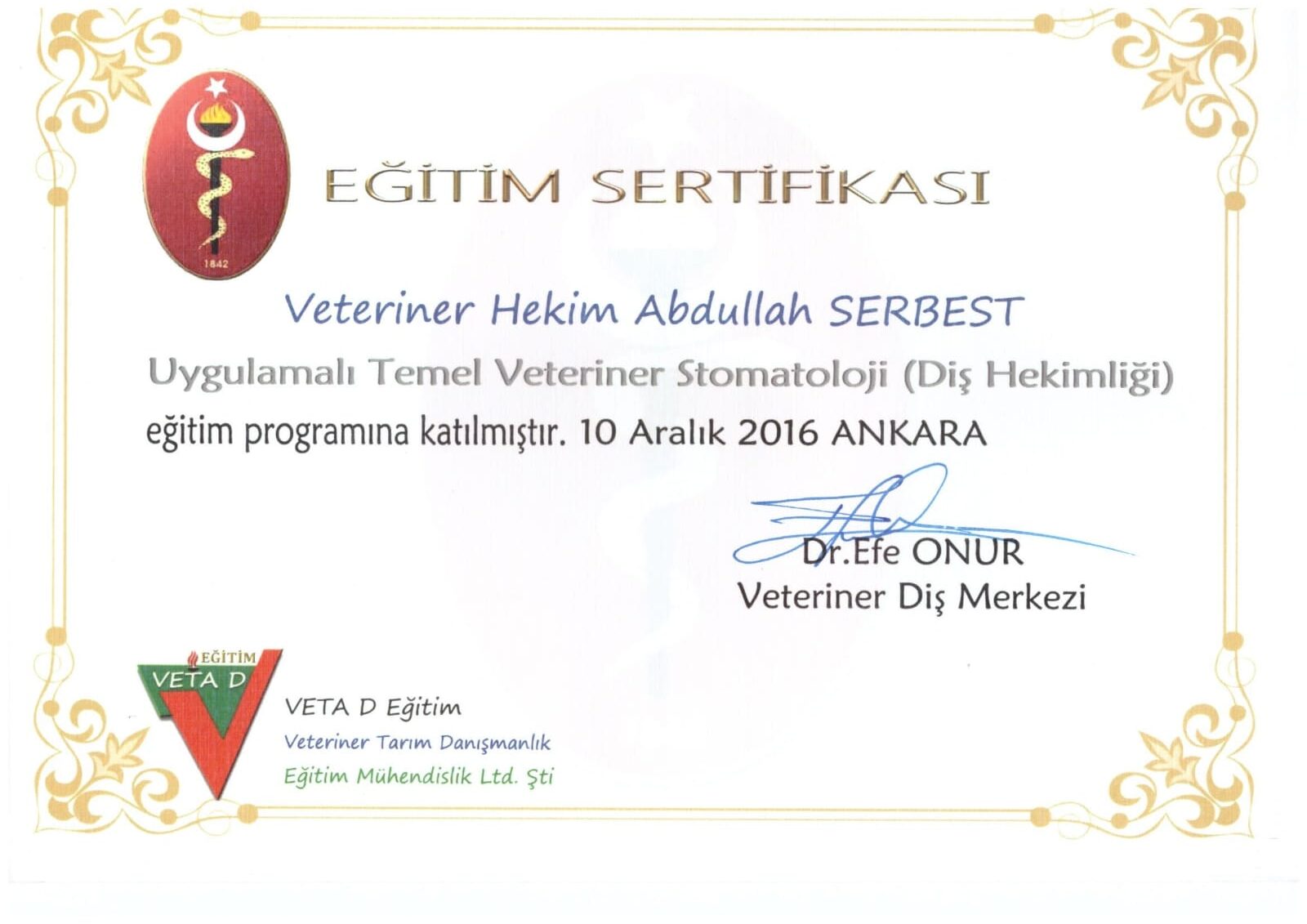 Diş Hekimliği